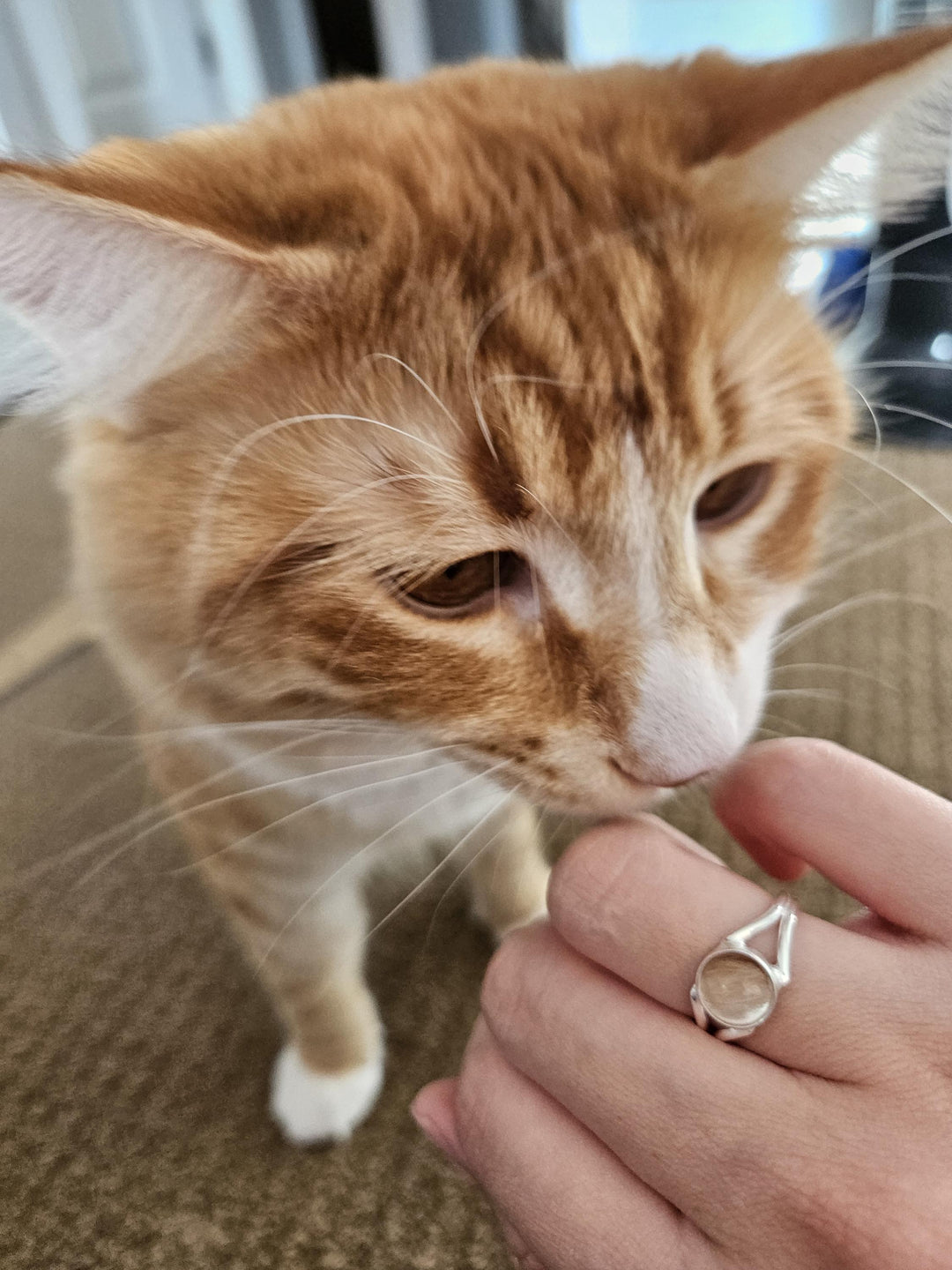 Custom Pet Fur Memorial Ring – Sterling Silver Keepsake Jewelry