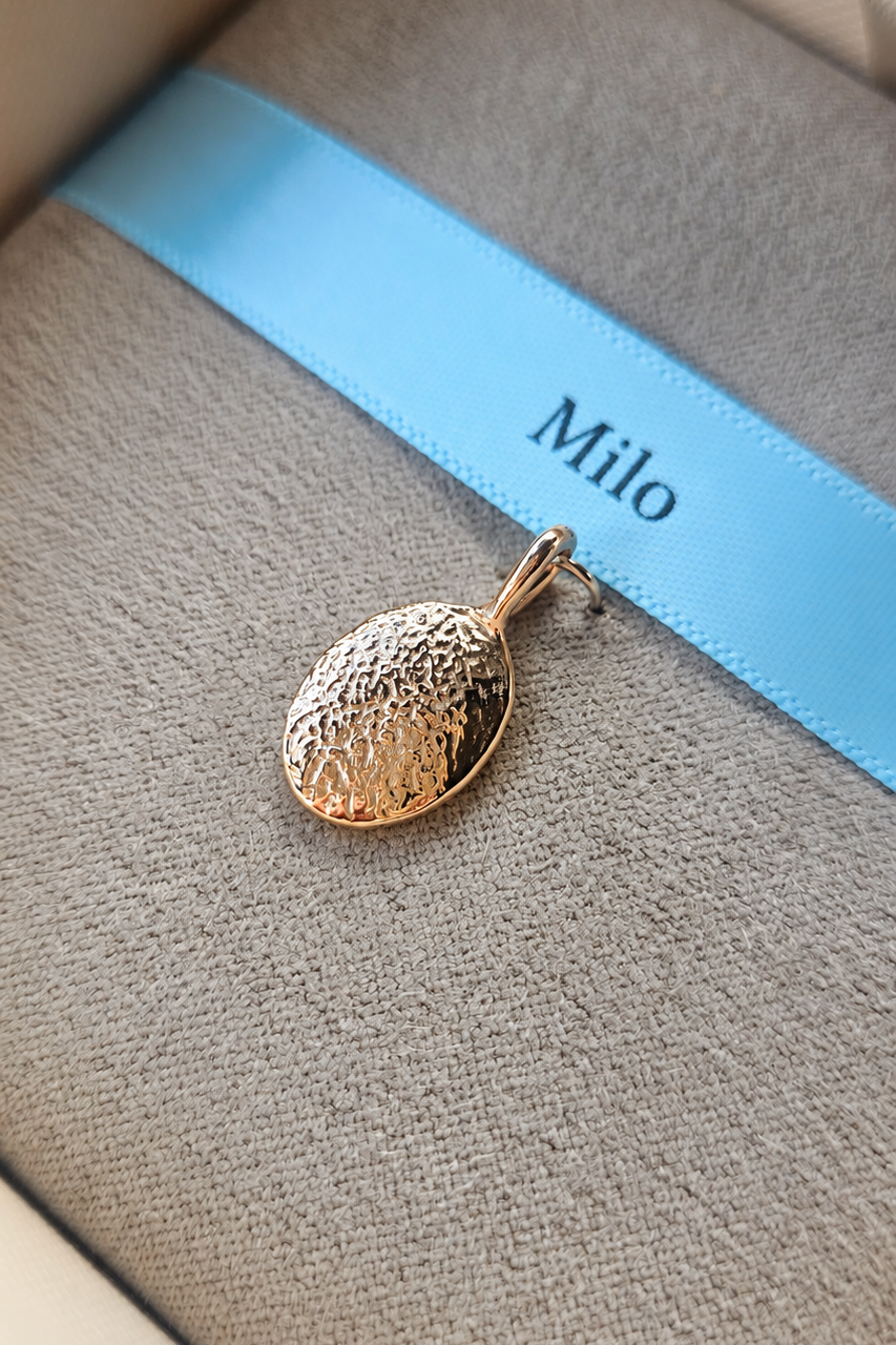 BOOP LIGHT - Solid Gold Pet Nose / Paw Imprint Pendant Necklace, Memorial Keepsake, Pet Loss Gift